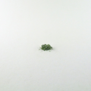 green_and_white_small_grain_02