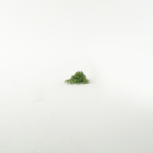 lightmid_green_medium_blend_foam_01