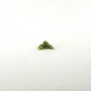 meadow_mix_loam_large_pale_01