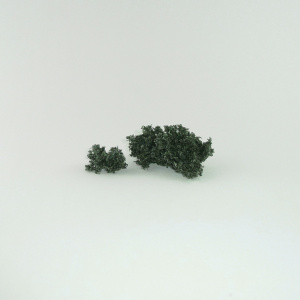 medium_size_darkest_green_wp_foam_01